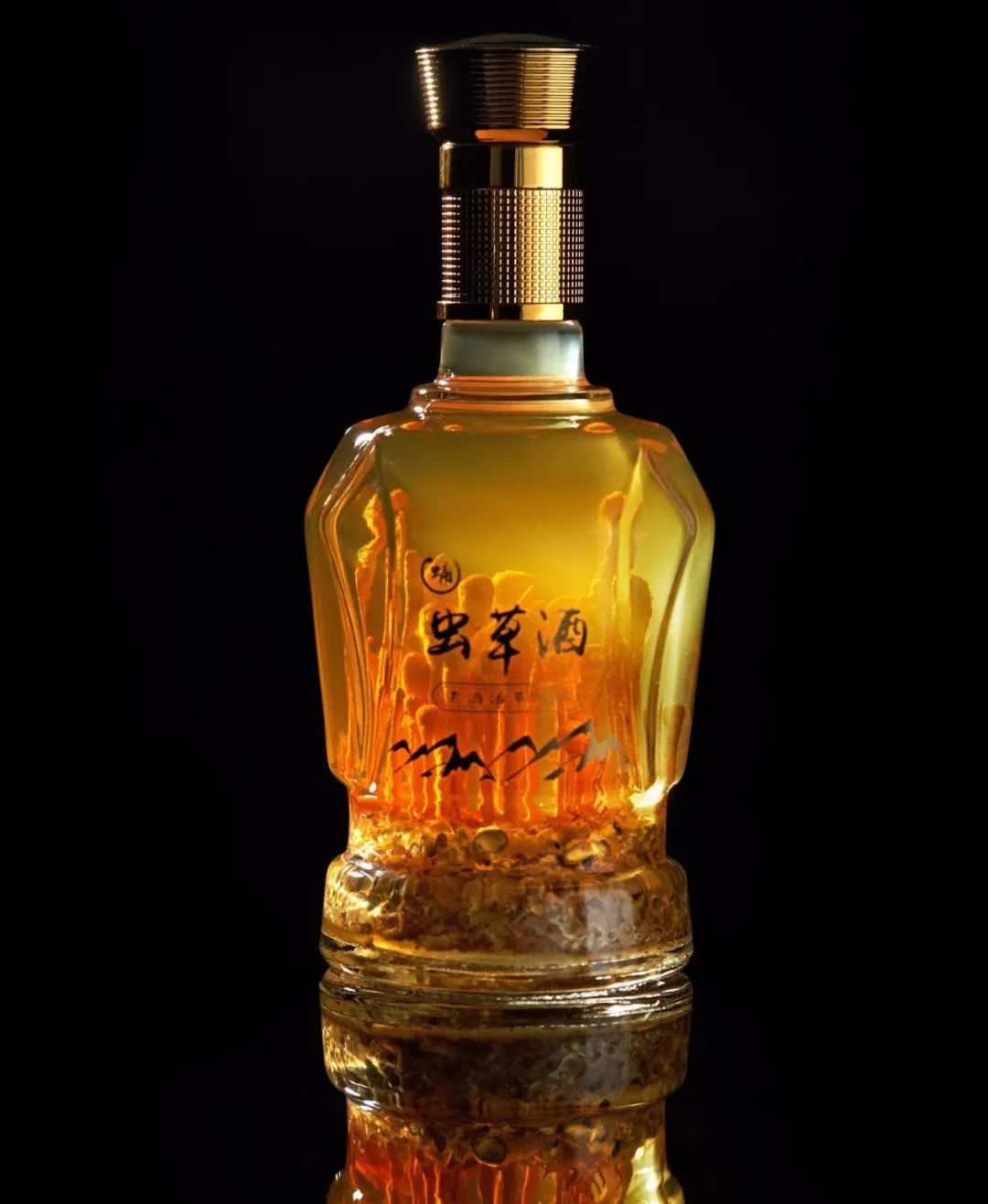 活体蛹虫草酒