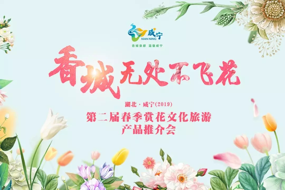 春季赏花.webp.jpg