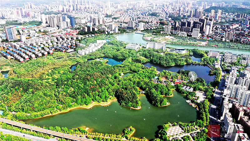 DJI_0462.jpg