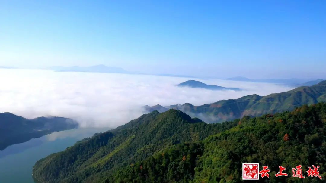 喜讯！咸宁多了一个“中国天然氧吧”