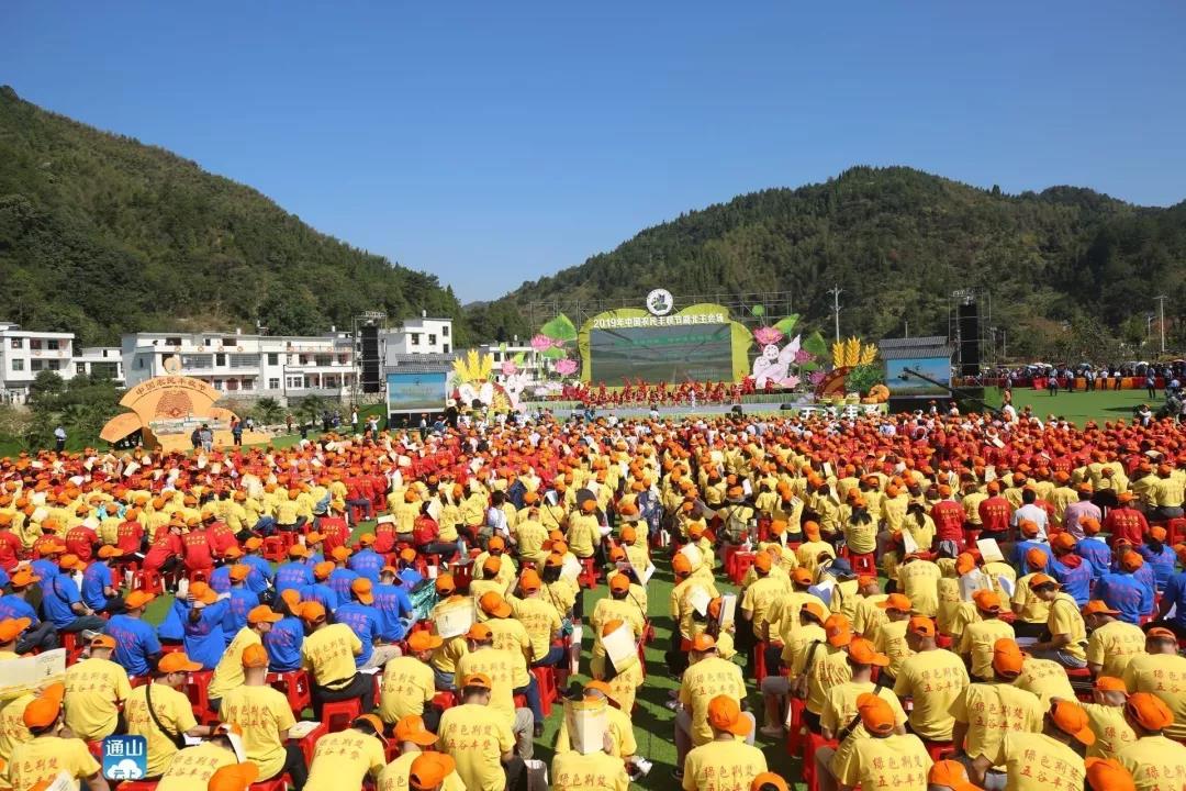 01.jpg