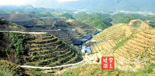 通山县有多少人口_通山人,这里有条关于施工封路的重要通知,请相互转告
