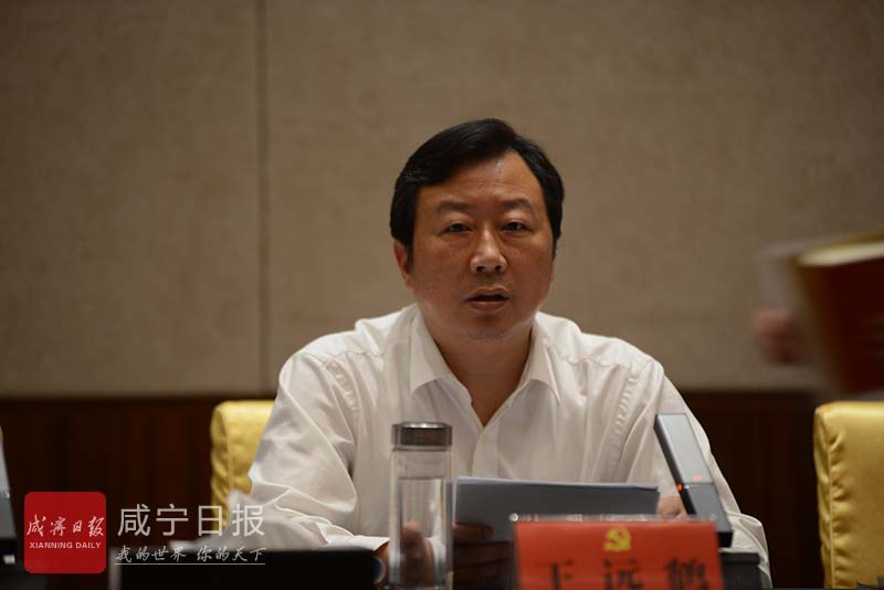王远鹤参加咸宁代表团审议