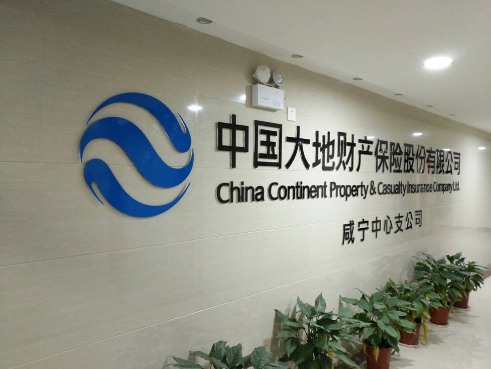 10号 中国大地财产保险股份有限公司咸宁中心支公司