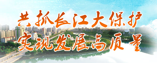 共抓长江大保护 实现发展高质量