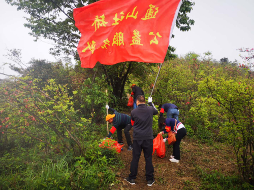 图片8.png 图片8.png