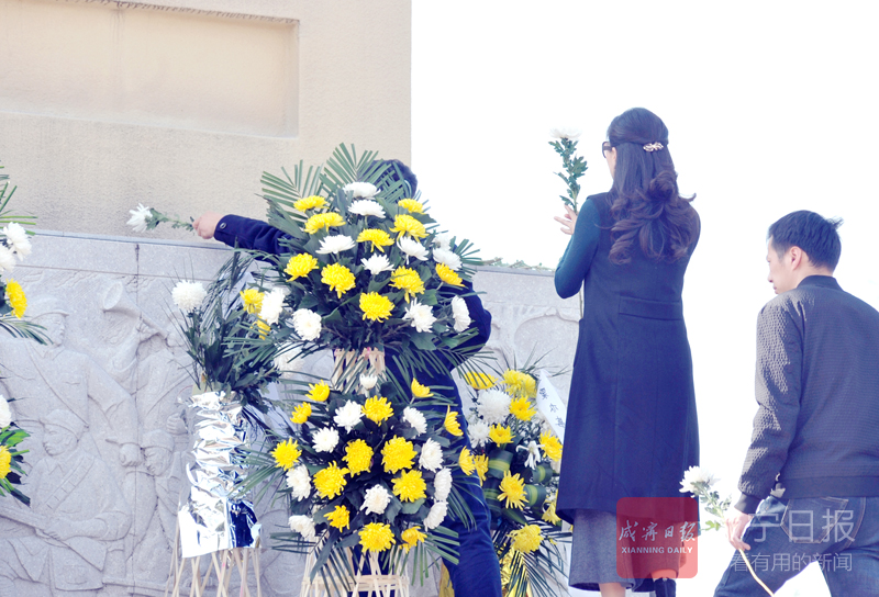 【缅怀先烈 传承英志】咸宁各地祭扫英烈
