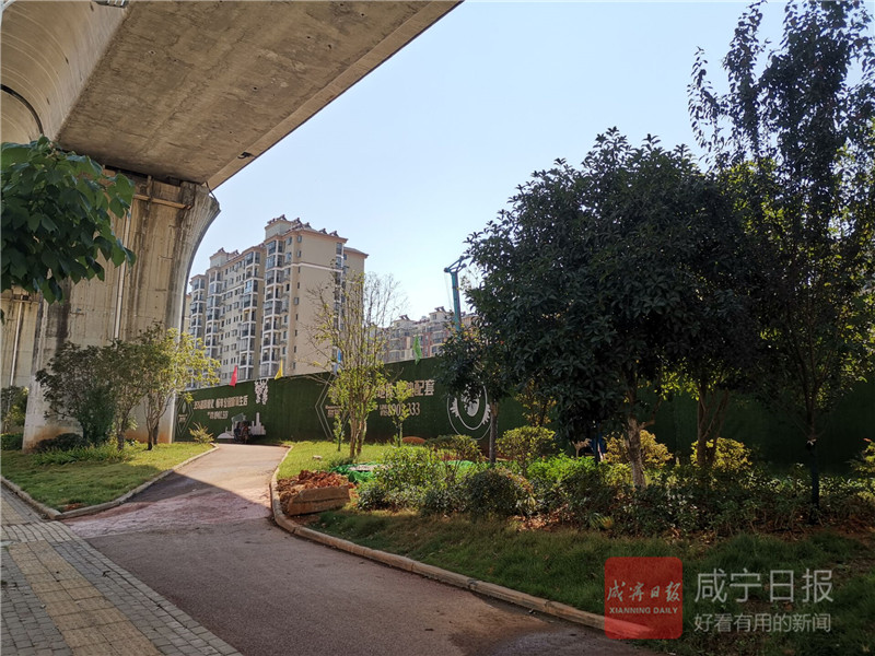 微信图片_20190802080211.jpg
